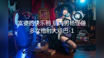 Al&mdash;索菲娅&middot;维加拉 爆乳女仆