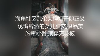 模特合集