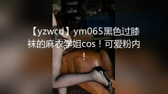 蜜桃传媒 pmtc 019 当着大哥的面前玩弄大嫂 李蓉蓉