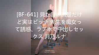 びっしょり汗だく爆乳家政妇～派遣先の男达の兴奋が収まらない濡れ透け肉感ボディ～ 乃南静香