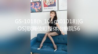 GS-1018(h_101gs01018)[GOS]歌舞伎町整体治療院56