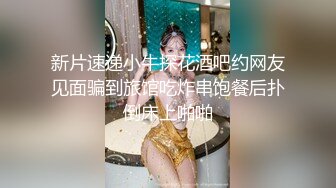 和老婆车震之二