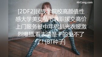 MSD-193美足姐姐的背德诱惑