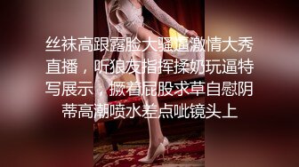 极品名媛外围女神『南山-安安』 嫖妓大神那些年出差操过的鸡，穿衣是高不可攀的女神，脱衣是淫荡下贱母狗 (2)