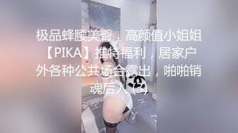 假鸡巴都可以玩到这个程度要是真鸡巴不得了