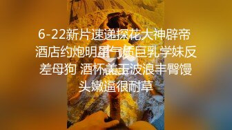 STP28049 甜美新人漂亮妹妹！情趣吊带裙子！内裤塞跳蛋摆臀，掰穴跳蛋塞入，表情一脸享受，水声哗哗好骚 VIP0600