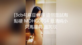 我老婆爱91