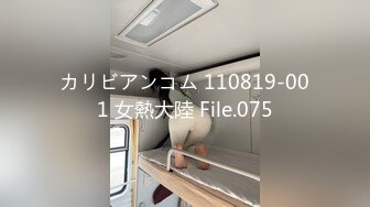 カリビアンコム 110819-001 女熱大陸 File.075