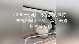 2000一小时，极品美乳模特，坚挺白嫩大白兔，黑丝美腿好诱惑 (3)