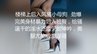 午饭后商场的邂逅，又绿帽他的老公，淫语