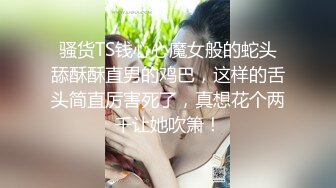 正片继续 看画面吧