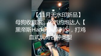 [在线欧美]洋土豪米高之酒吧搭上的长发美女