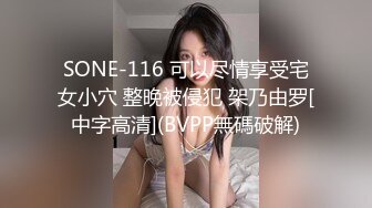 SONE-116 可以尽情享受宅女小穴 整晚被侵犯 架乃由罗[中字高清](BVPP無碼破解)