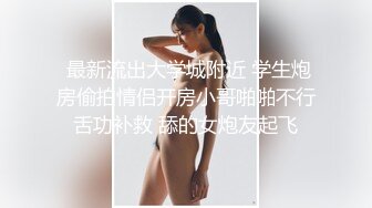 正面干dg少妇