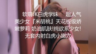 一米八的大梨子 - 女仆拓展包