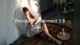 Pornstar Punishment 3 B