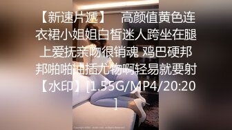 【猫先生】我的小宝贝终于要毕业了，真的不想让你去混演艺圈啊，做演员太苦太累了。加油吧，为了你的明星梦。