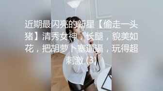 超清4K镜头，美少女岔开双腿，粉嫩鲍鱼完美展示，激情啪啪娇喘不断，角度专业实力探花