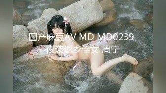 国产麻豆AV MD MD0239 夜袭返乡侄女 周宁