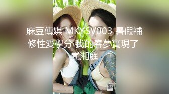 麻豆傳媒 MKYSV003 暑假補修性愛學分 我的春夢實現了 嵐湘庭