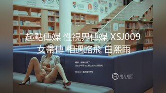 麻豆传媒 MDSR0002-2《性工作者》EP2