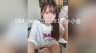 084_(sex)20230814_小小会议室