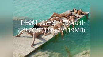 【在线】液液酱 – 黑猫女仆灰丝COS (37P+2V119MB)