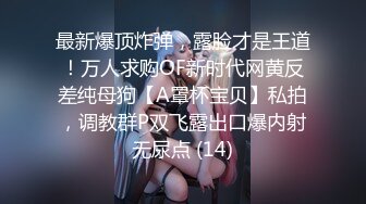 [2DF2] 大学周边的小旅馆 一到晚上就满了 老板偷藏摄像头 偷拍小情侣啪啪啪 -[BT种子]