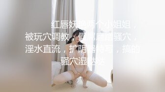 糖心出品-律师制服的淫语挑逗Vlog-NANA