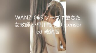 WANZ-065 ソープに堕ちた女教師 小早川怜子 Uncensored 破解版