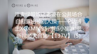 淫妻绿帽奴让老婆在公共场合自慰露出被别人操——P站博主XGXMM95(性感小猫咪)最新视频大合集 【137V】 (5)