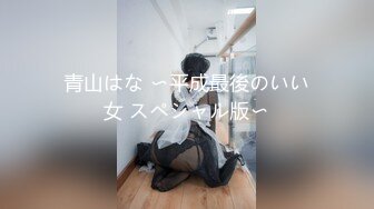 青山はな 〜平成最後のいい女 スペシャル版〜